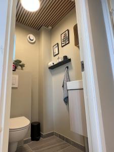 a bathroom with a toilet and a sink at Large house with 3 bedrooms and a private garden in Stavanger +13 photos