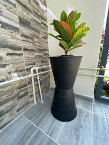Imagine din galeria proprietății Pinar de la Calma Casa Renovada dentro del periferico excelente ubicacion a tan solo 5 minutos del ITESO TecMilenio UVM Parque Industrial Tecnologico II în Guadalajara