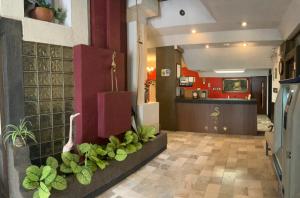 een keuken en woonkamer met een aanrecht met planten bij Hotel Flamingo Kristal in Irapuato