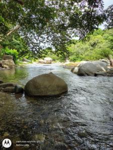 a rock in the middle of a river at Casa kumake tayrona in El Zaino