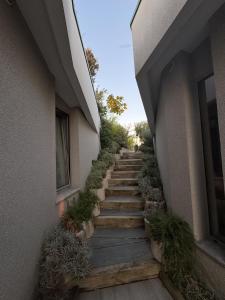 a stairway between two buildings with plants at Hilltop Villa in Shetaj
