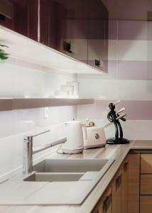 Una encimera de cocina con un fregadero y una tostadora. en Apt D5, en Tesalónica