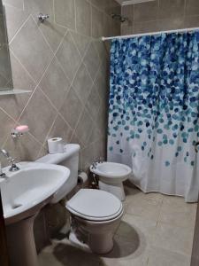a bathroom with a toilet and a sink and a shower at Las Lilas in Roque Pérez