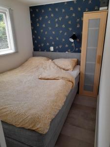 a bedroom with a large bed with a blue wall at Chalet B2 in Westergeest
