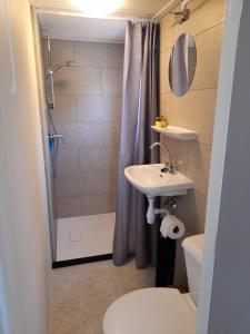 a bathroom with a sink and a shower and a toilet at Chalet B2 in Westergeest