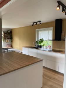 a kitchen with white cabinets and a counter top at Koselig Enebolig in Iveland