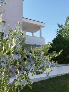 a white house with trees in front of it at Tolj apartman in Ljubuški