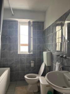 a bathroom with a toilet and a sink and a tub at Apartman DBB Nikšić in Nikšić +11 photos