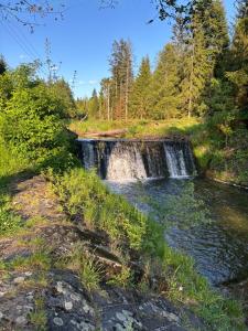 Φυσικό τοπίο κοντά σε αυτό το διαμέρισμα
