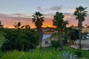 a house with palm trees in front of a sunset at Dushi Boho in Willemstad