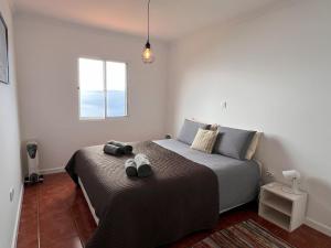 ein Schlafzimmer mit zwei Betten und einem Fenster in der Unterkunft Casa da Ovelha I Madeira in Fajã da Ovelha