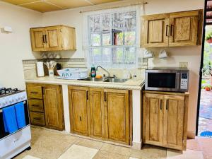 a kitchen with wooden cabinets and a microwave at Cabaña Montaña Azul Boquete in Alto Boquete