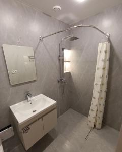 a bathroom with a sink and a mirror and a shower at Sweet Home Mergelyan in Yerevan