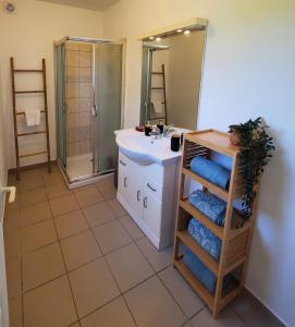 a bathroom with a sink and a mirror at L'Évasion Maison typique de mineur in Flamanville