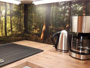 Kuchyň nebo kuchyňský kout v ubytování Kruspe Comfortable holiday residence