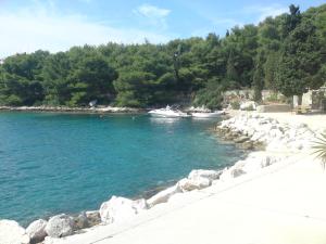 Fotografie z fotogalerie ubytování Apartments Mediteraneo Boho Beach House v destinaci Molat
