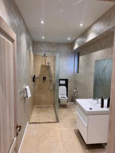 un bagno con doccia, WC e lavandino di Eroilor Apartments a Curtea de Argeş Altre 25 foto