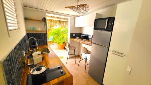 una cucina con frigorifero in acciaio inossidabile e bancone di Sweet Payot : Studio avec Spa privé et piscine a Le Lamentin