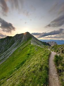 a dirt road on a grassy hill with a mountain at Ferienhaus Köck in Kartitsch