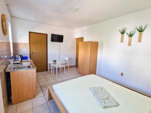 Küche/Küchenzeile in der Unterkunft Villa Dusper
