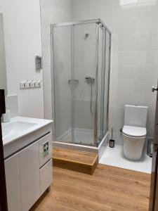 a bathroom with a shower and a toilet at King's Guesthouse - Baixa de Coimbra in Coimbra +30 photos
