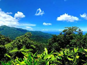 Paesaggio naturale nelle vicinanze della casa vacanze