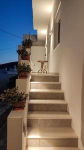 a set of stairs with potted plants on them at Marina's House in Kinídharos