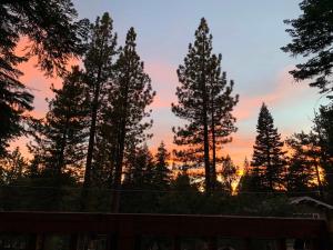 eine Gruppe von Bäumen mit einem Sonnenuntergang im Hintergrund in der Unterkunft Cherry Hills Cabin - Sleeps 6 No Pets Family Fun in South Lake Tahoe