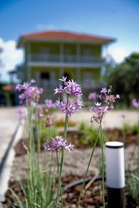 Un mazzo di fiori viola davanti a un edificio. di Olivegrove House a Vourvourou