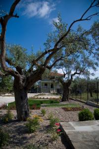 two trees in a park with flowers in front of a building at Olivegrove House in Vourvourou