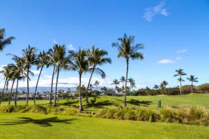 Příroda nedaleko prázdninového domu