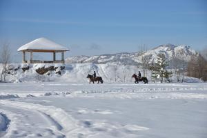 a group of people riding horses in the snow at Apartman Kušići in Vedići