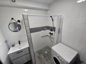 カイエンヌにあるMontabo - Studio fonctionnel proche restos plageのシャワー、トイレ、洗面台を備えたバスルーム