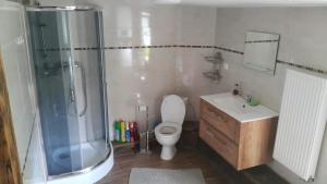 een badkamer met douche, toilet en wastafel bij Stacja Roman in Karpacz +11 foto's