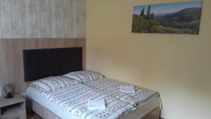 een slaapkamer met een bed met een schilderij aan de muur bij Stacja Roman in Karpacz