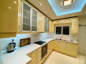 Кухня или мини-кухня в Asclepeias Ionian Villa
