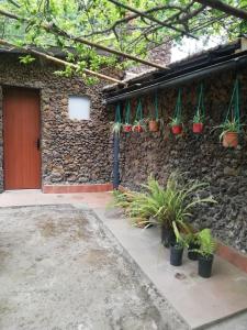 Ogród w obiekcie Casa ecologica, autosuficiente en Lomo Blanco, dentro de una casa rodeada de naturaleza