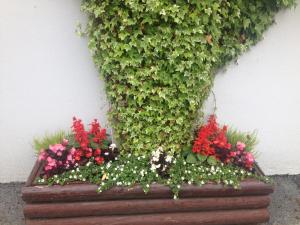 a planter with flowers and plants on a wall at Carragh House in Castlebar