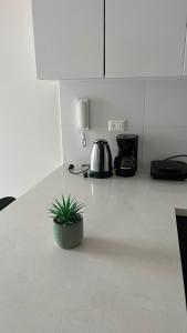 a kitchen counter with a potted plant on the counter at Departamento en San Isidro in Lima +3 photos