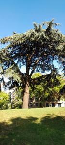 Zahrada ubytování Élégant apt avec vue Tour Eiffel & parking privé