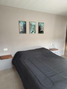 a bedroom with a bed and four pictures on the wall at OMA Departamentos por día -2 in Utracán