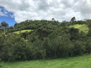 a green hill with trees in a field at Casa tipo Chalet en el pasochoa 