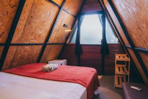 a small room with a bed in a dome house at Tepuy Hostel in Boa Vista