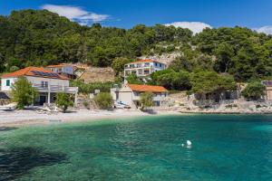 a swan swimming in the water near a beach at Seaside secluded apartments Cove Torac, Hvar - 4044 in Gdinj