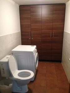 a bathroom with a toilet and wooden cabinets at Apartment Sklipek Alsop in Mutěnice