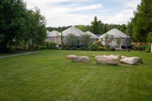 een groep rotsen in een tuin met tenten bij Jurty Glamping Moje Taghazout in Lubiatowo