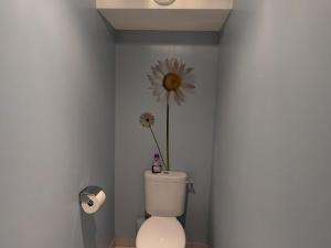 ein Badezimmer mit einem WC mit einer Blume an der Wand in der Unterkunft Chambre Iris dans bâtisse rénovée au cœur de la nature - FR-1-589-726 in Moyenmoutier