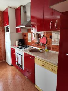 Η κουζίνα ή μικρή κουζίνα στο Apartments with parking space Hreljin Ogulinski, Gorski kotar - 24798