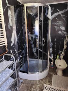 オグリンにあるApartments for families with children Hreljin Ogulinski, Gorski kotar - 24798のシャワーとトイレ付きのバスルーム