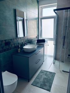 a bathroom with a sink and a toilet and a shower at Ainių gatvės apartamentai in Panevėžys +13 photos